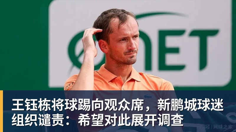 王钰栋将球踢向观众席，新鹏城球迷组织谴责：希望对此展开调查