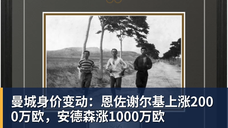 曼城身价变动:恩佐谢尔基上涨2000万欧,安德森涨1000万欧